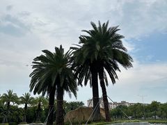 -宝安西湾红树林湿地公园