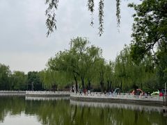-丰台花园
