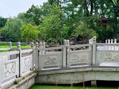 -莲湖公园