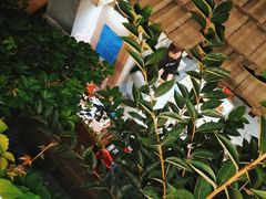 -后海16号·北京私房菜
