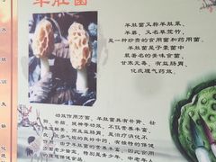 -双喜农庄·菌香园(安居家园店)