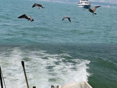 -巧克力渔家.小船海鲜胶东菜(万平口店)