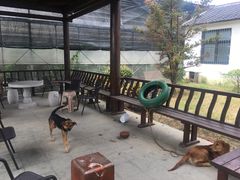 -呼吸森林·生态农庄农家乐私房菜