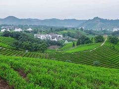 -帐篷客·溪龙茶谷度假酒店