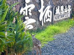 -云栖山谷野奢营地
