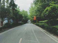 -三圣花乡旅游区