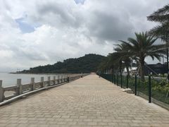 -野狸岛