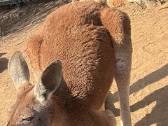 -济南野生动物世界