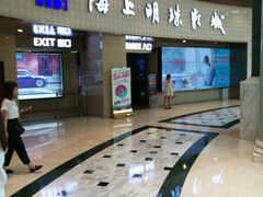 -AMG海上明珠影城(上海环球港RealDCinema店)