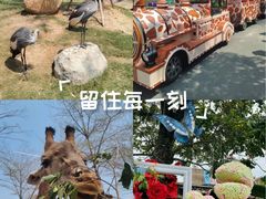 -灵玲国际马戏城