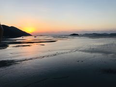 -北岐滩涂