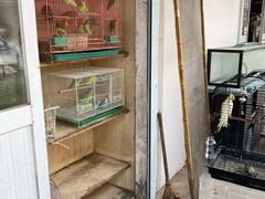 -南汇花鸟市场(上海浦东新花卉店)