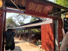 门面-御霞苑泥烩鸡休闲农庄