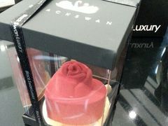 android_upload_pic-BLACKSWAN黑天鹅(环球店)