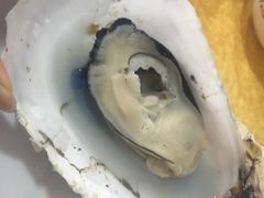 桑拿蚝-蚝专家(北滘店)