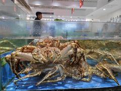 -海天一色海景自助餐厅(西港花园店)