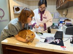 -宠爱国际动物医院·消化内科·心肾内科·ISFM猫友好(望京店)