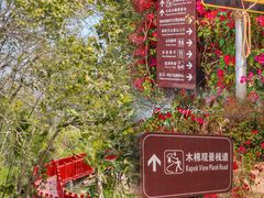 -海南霸王岭国家森林公园