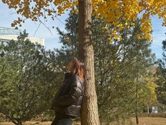 -大兴滨河森林公园