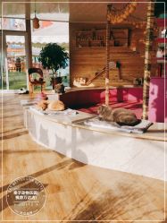 -萌宠亲子动物乐园(槐房万达店)