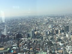 -东京都厅舍
