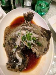 -嘉兴希尔顿逸林酒店·宴会厅