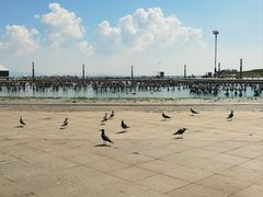 -东港音乐喷泉广场