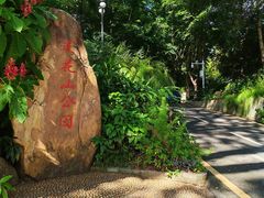 -莲花山公园