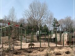 -青藏高原野生动物园