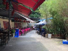 -章记正宗南岗鱼蛋火锅