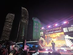 -演武大桥观景平台