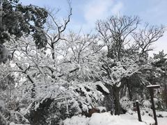 -天目湖涵田半山温泉