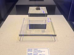 -吉林市博物馆