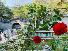 -深圳国际园林花卉博览园