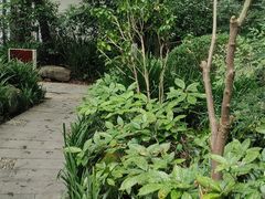 -青城道汤池
