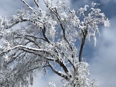 -太子岭滑雪场