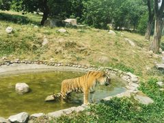 -西安秦岭野生动物园