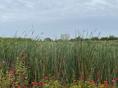 -永定河休闲森林公园