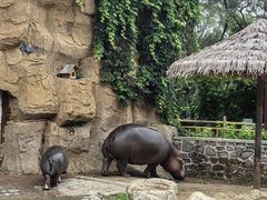 -沈阳森林动物园