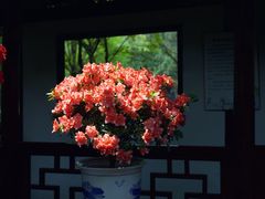 -汇龙潭