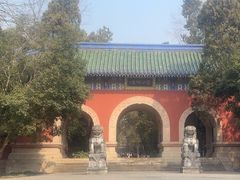 -灵谷景区