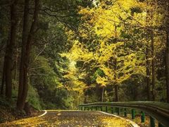 -金堂县云顶石城风景区