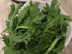 -同仁四季椰子鸡(福田东园总店)