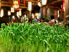 -蜀大侠火锅(四川北路店)