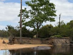 -威勒比开放式动物园