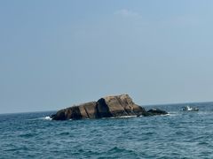 -阿军排档·烧烤