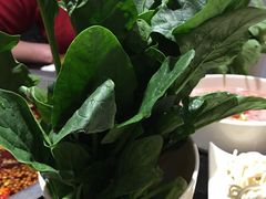 -宽板凳老灶火锅(簋街店)