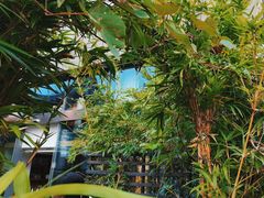 -道南書院·私房菜·早午茶·茶馆