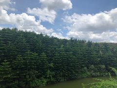 -迪茵湖田家舍生态农场