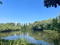 -溱湖国家湿地公园